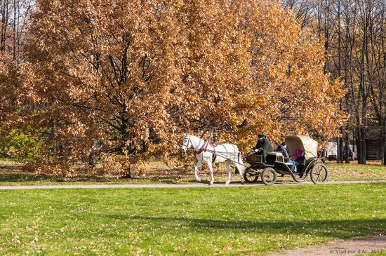 Golden autumn in Kolomenskoye, Moscow, Russia, photo 7