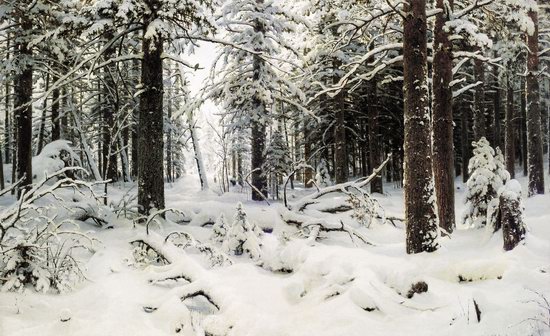 Photorealistic paintings of Ivan Shishkin, picture 9