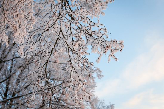 Winter in the center of Vladimir city, Russia, photo 3