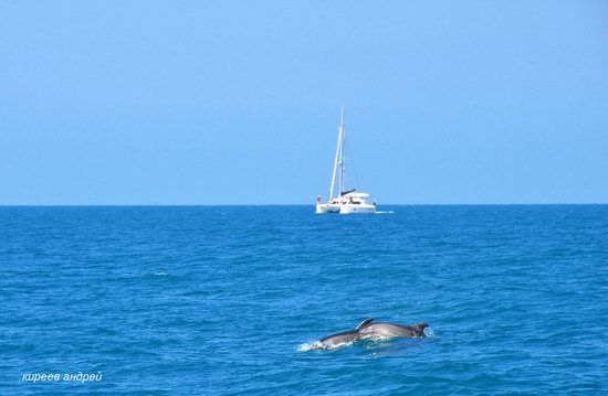 Parus (Sail) Rock near Gelendzhik, Russia, photo 2