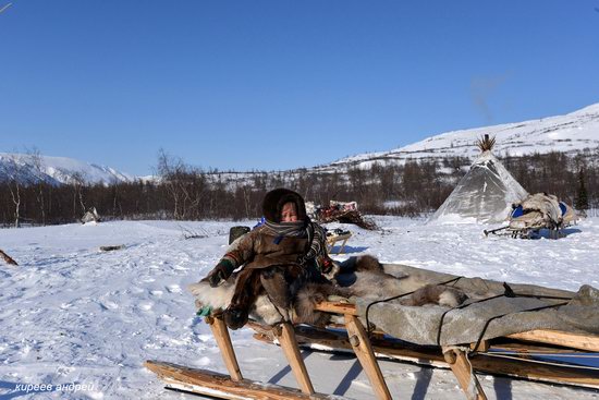 Nenets Reindeer Herders of Yamal, Russia, photo 10