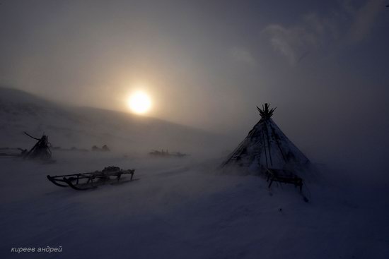 Nenets Reindeer Herders of Yamal, Russia, photo 11