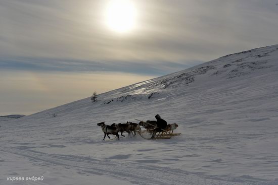 Nenets Reindeer Herders of Yamal, Russia, photo 12