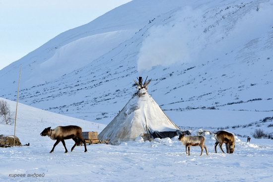 Nenets Reindeer Herders of Yamal, Russia, photo 16