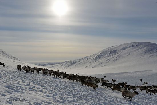 Nenets Reindeer Herders of Yamal, Russia, photo 19