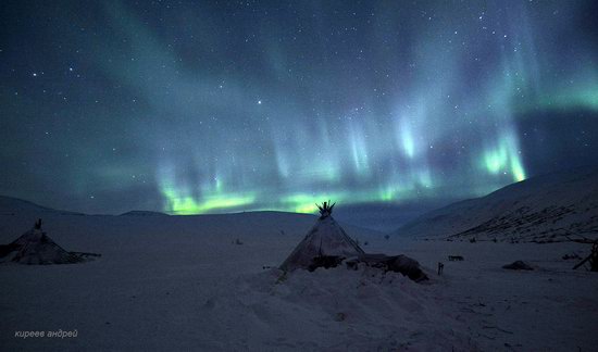 Nenets Reindeer Herders of Yamal, Russia, photo 20