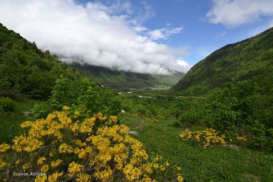 Mountainous Digoria, North Ossetia, Russia, photo 13