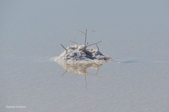 Lake Elton, Volgograd region, Russia, photo 18