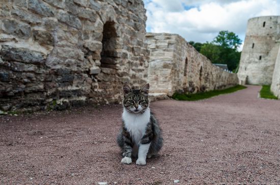 Izborsk Fortress, Russia, photo 7