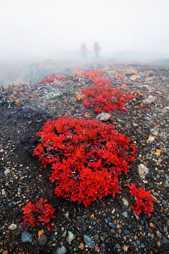 Amazing Landscapes of Kamchatka, Russia, photo 8