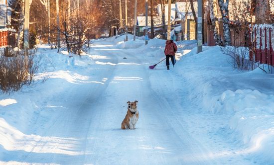 Aesthetics of winter in provincial Russia, photo 13