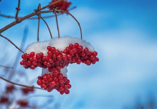 Aesthetics of winter in provincial Russia, photo 5