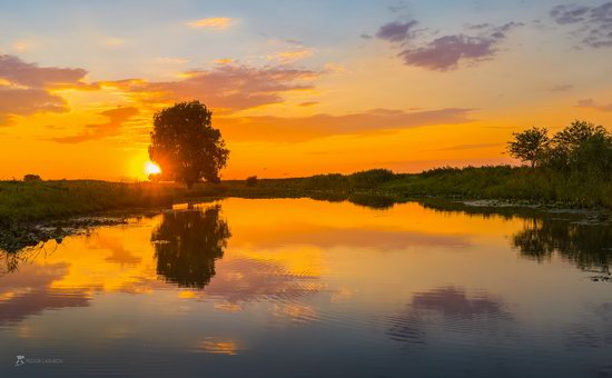 Summer sunset in the Volga River delta, Astrakhan Oblast, Russia, photo 3