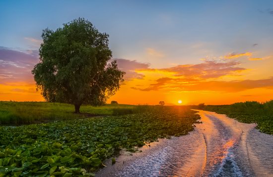 Summer sunset in the Volga River delta, Astrakhan Oblast, Russia, photo 4