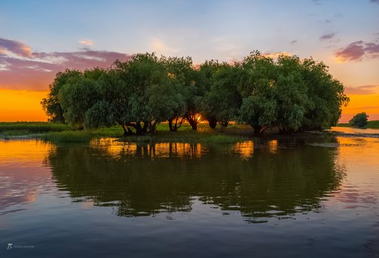 Summer sunset in the Volga River delta, Astrakhan Oblast, Russia, photo 5