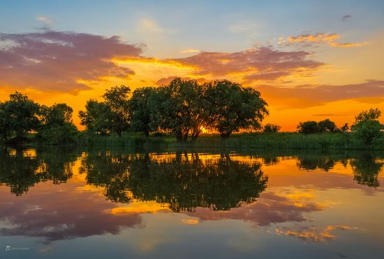 Summer sunset in the Volga River delta, Astrakhan Oblast, Russia, photo 7