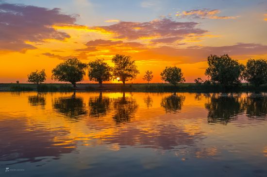 Summer sunset in the Volga River delta, Astrakhan Oblast, Russia, photo 8