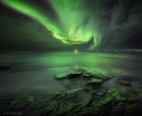 Northern Lights in Teriberka, Murmansk Oblast, Russia, photo 11