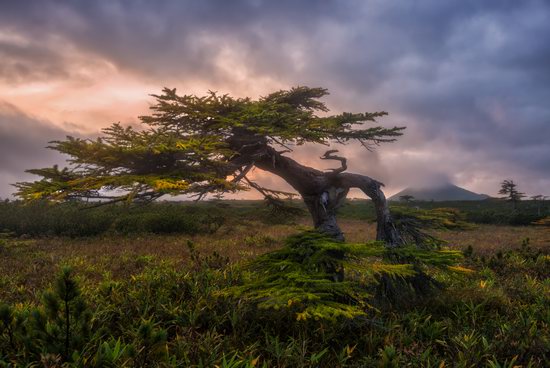 Beautiful Landscapes of Iturup Island, Sakhalin Oblast, Russia, photo 7