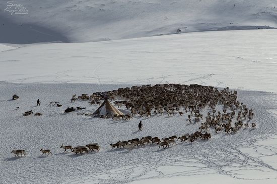 Life of Reindeer Herders of the Polar Urals, Russia, photo 1