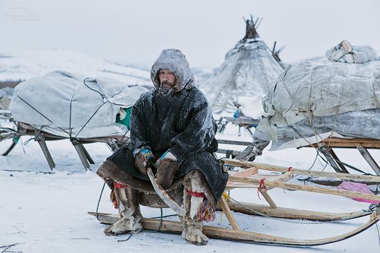 Life of Reindeer Herders of the Polar Urals, Russia, photo 11