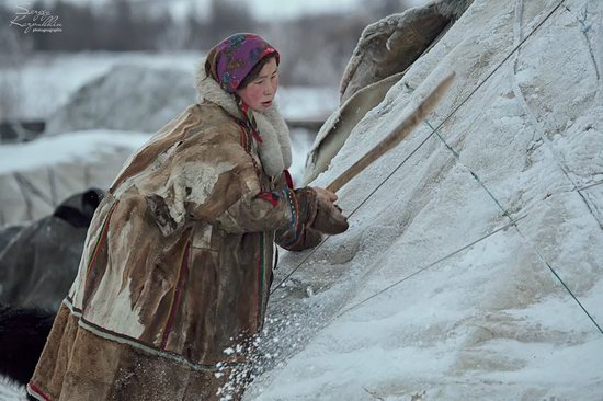 Life of Reindeer Herders of the Polar Urals, Russia, photo 13
