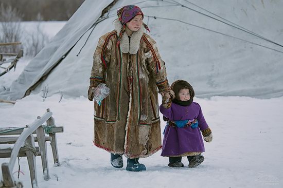 Life of Reindeer Herders of the Polar Urals, Russia, photo 14