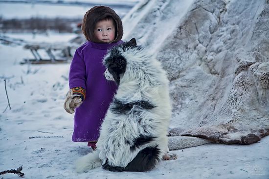 Life of Reindeer Herders of the Polar Urals, Russia, photo 16