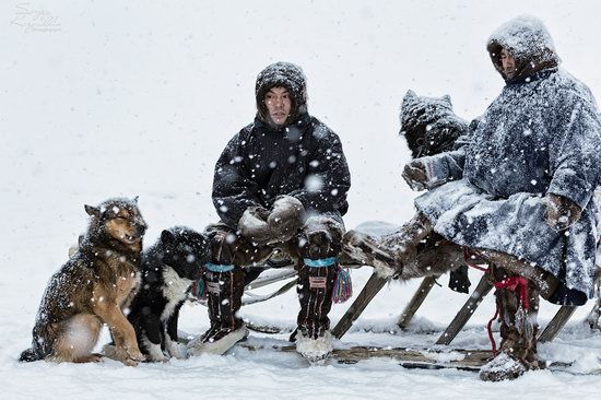 Life of Reindeer Herders of the Polar Urals, Russia, photo 18