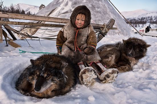 Life of Reindeer Herders of the Polar Urals, Russia, photo 25