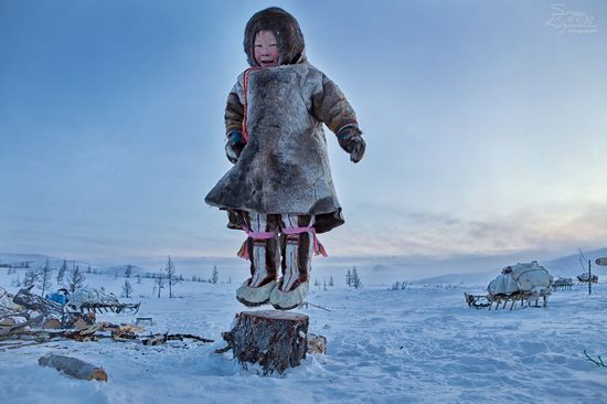 Life of Reindeer Herders of the Polar Urals, Russia, photo 26