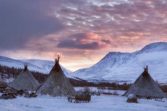 Life of Reindeer Herders of the Polar Urals, Russia, photo 28