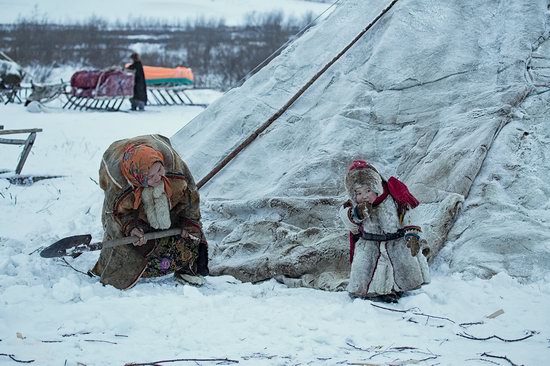 Life of Reindeer Herders of the Polar Urals, Russia, photo 4