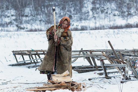 Life of Reindeer Herders of the Polar Urals, Russia, photo 6