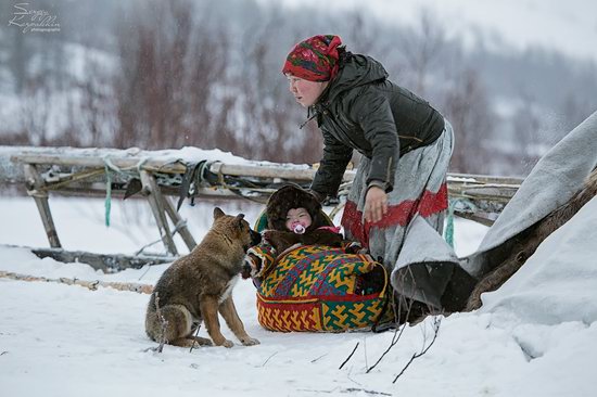 Life of Reindeer Herders of the Polar Urals, Russia, photo 7