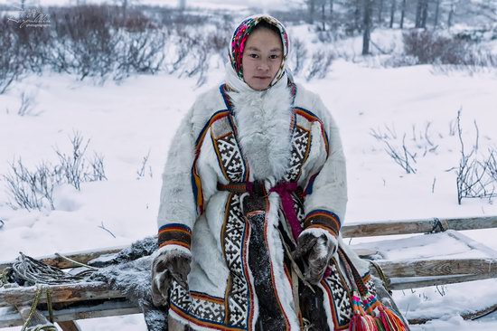 Life of Reindeer Herders of the Polar Urals, Russia, photo 8