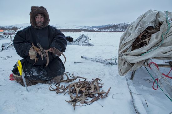 Life of Reindeer Herders of the Polar Urals, Russia, photo 9