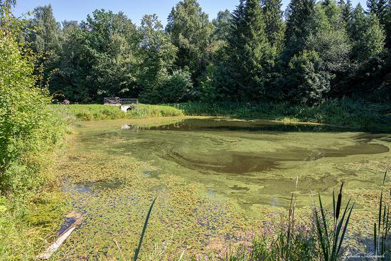 The Brianchaninovs Estate, Vologda Oblast, Russia, photo 14