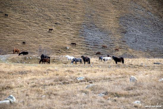 Mountain landscapes of the Republic of North Ossetia - Alania, Russia, photo 7