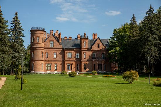 Vasilyevsky (Shcherbatovsky) Castle in Moscow Oblast, Russia, photo 1