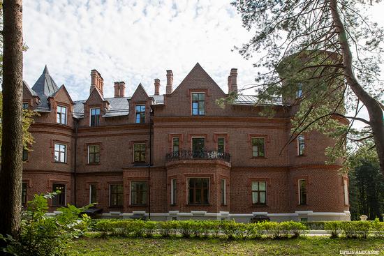 Vasilyevsky (Shcherbatovsky) Castle in Moscow Oblast, Russia, photo 10