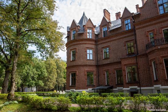 Vasilyevsky (Shcherbatovsky) Castle in Moscow Oblast, Russia, photo 11