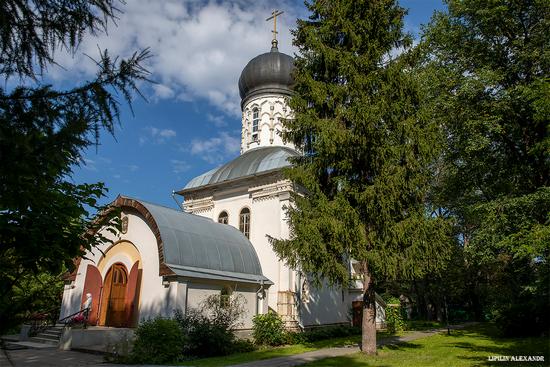 Vasilyevsky (Shcherbatovsky) Castle in Moscow Oblast, Russia, photo 13