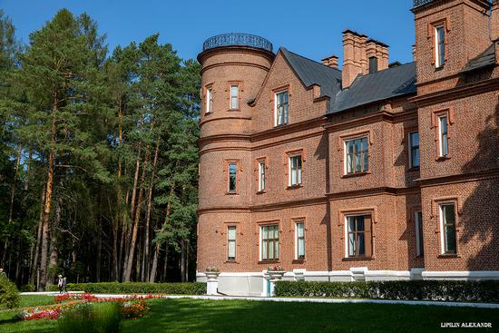 Vasilyevsky (Shcherbatovsky) Castle in Moscow Oblast, Russia, photo 2