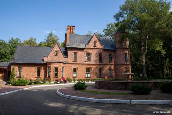 Vasilyevsky (Shcherbatovsky) Castle in Moscow Oblast, Russia, photo 3