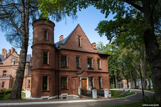 Vasilyevsky (Shcherbatovsky) Castle in Moscow Oblast, Russia, photo 5