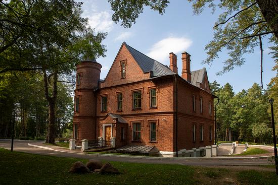 Vasilyevsky (Shcherbatovsky) Castle in Moscow Oblast, Russia, photo 6