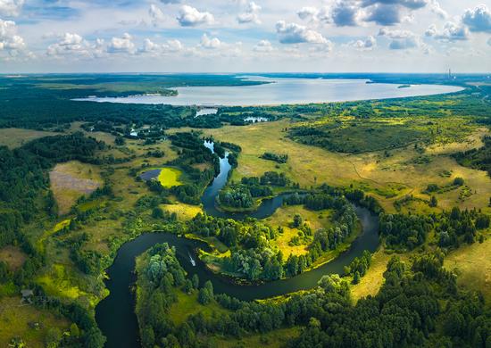 Summer in the Lipetsk Nature Reserve, Russia, photo 5