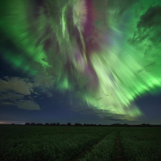 The Brightest Northern Lights in Arkhangelsk Oblast, Russia, August 12-13, 2024, photo 3