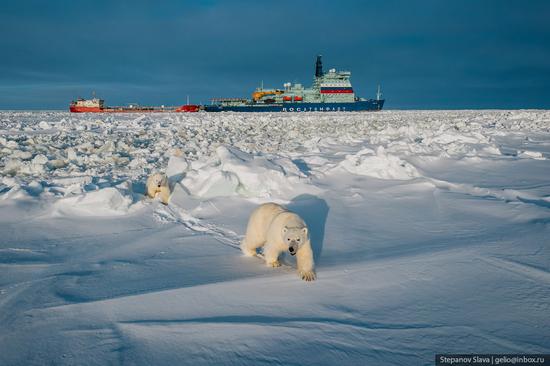 Russian Nuclear Icebreakers on the Northern Sea Route, photo 26